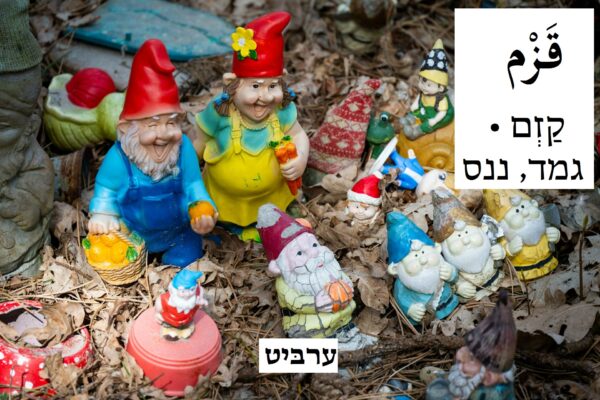 גמד, ננס