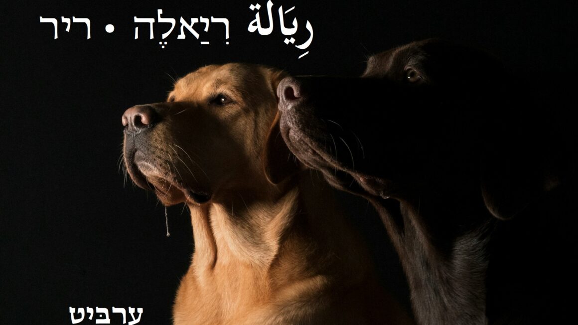 ריר