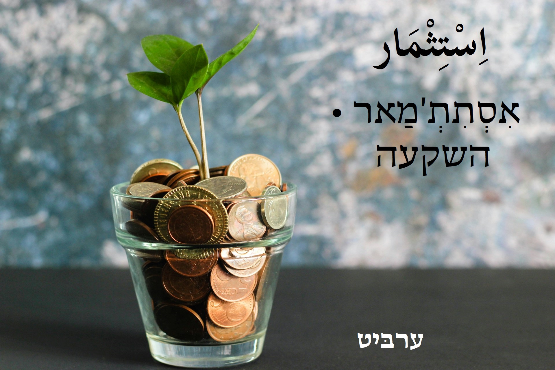 השקעה