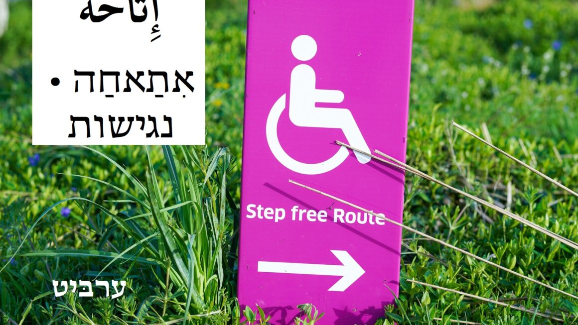 נגישות