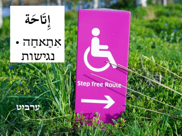 נגישות