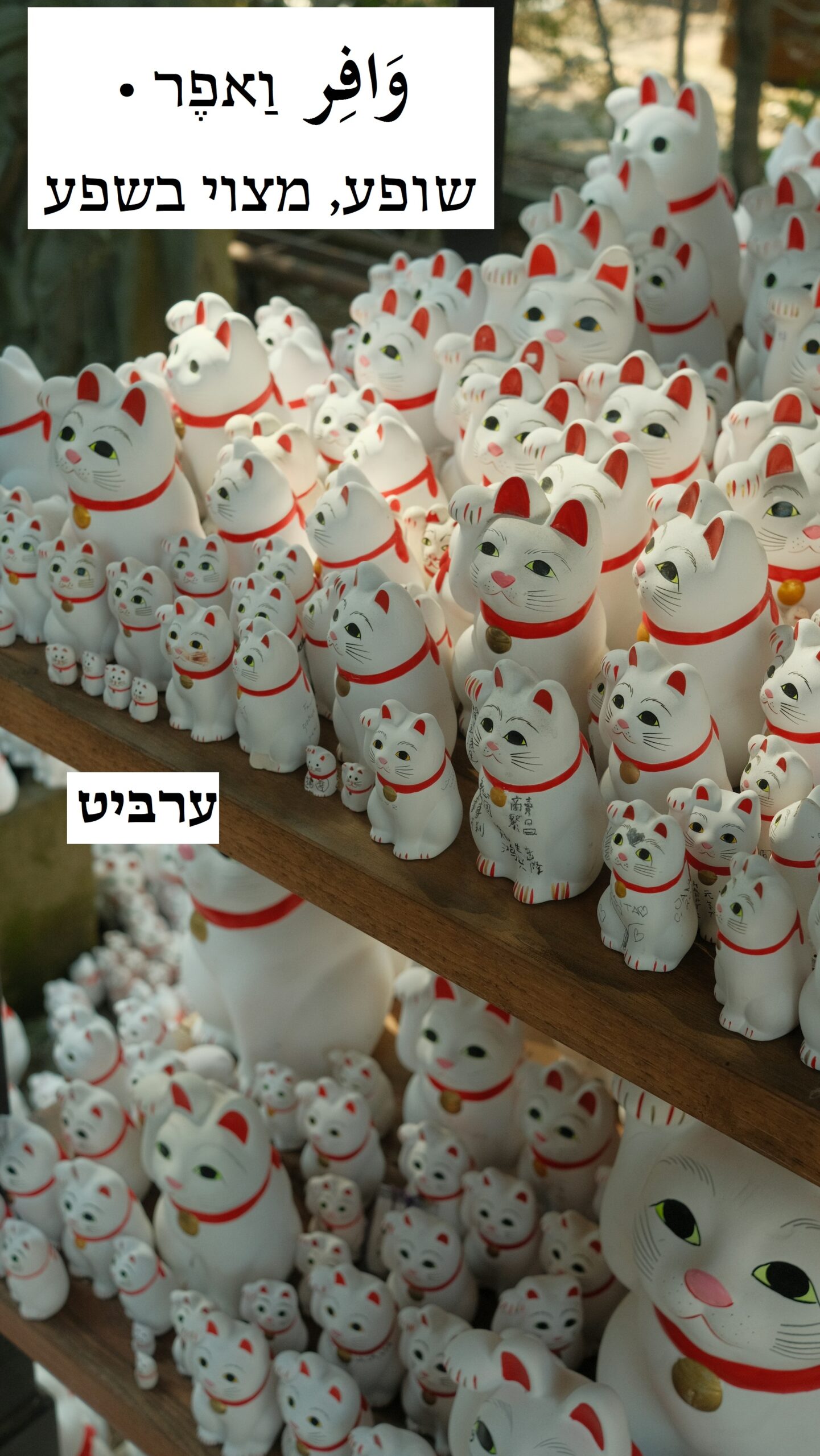 שופע, מצוי בשפע