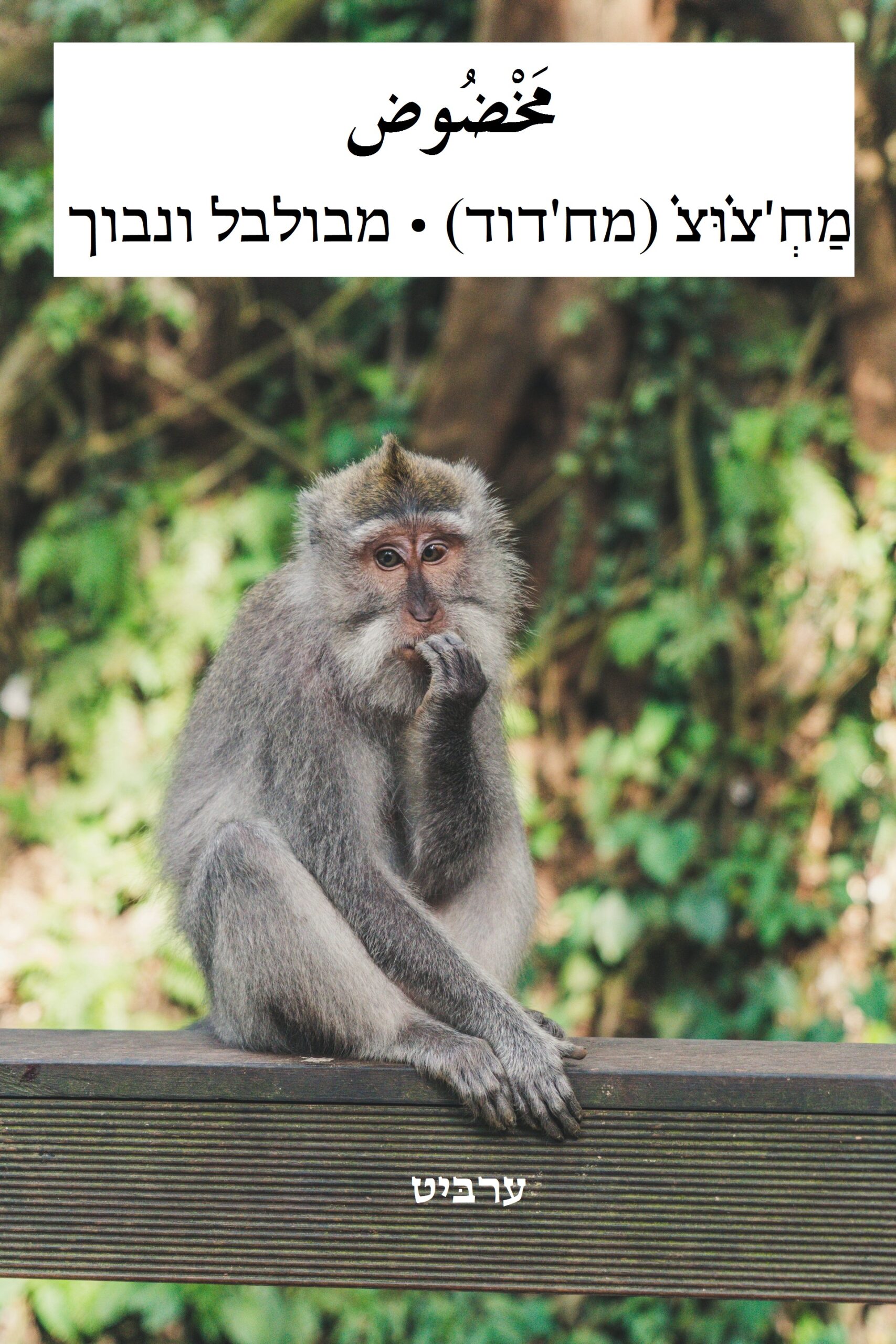 מבולבל ונבוך