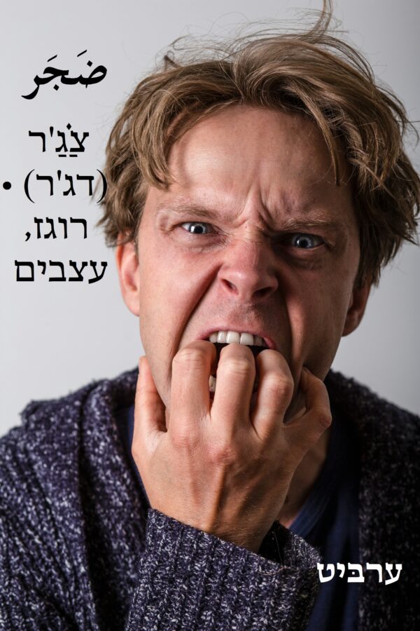 רוגז, עצבים