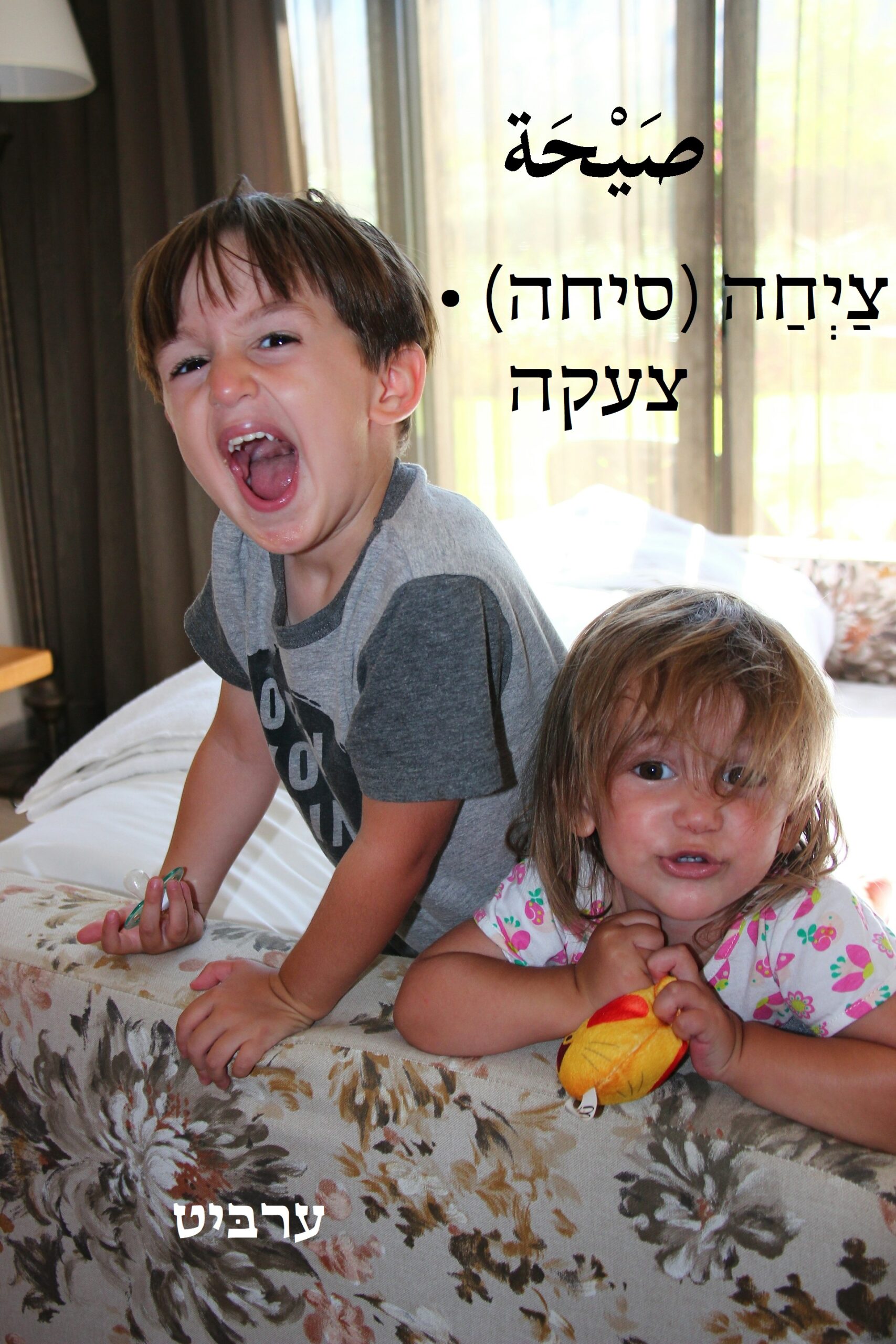 צעקה