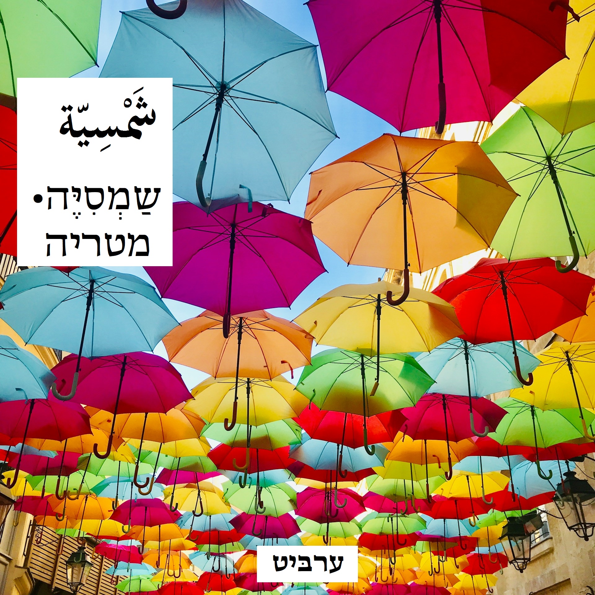 מטריה