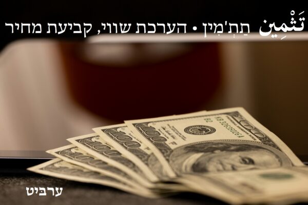הערכת שווי, קביעת מחיר