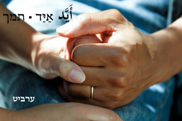 תמך