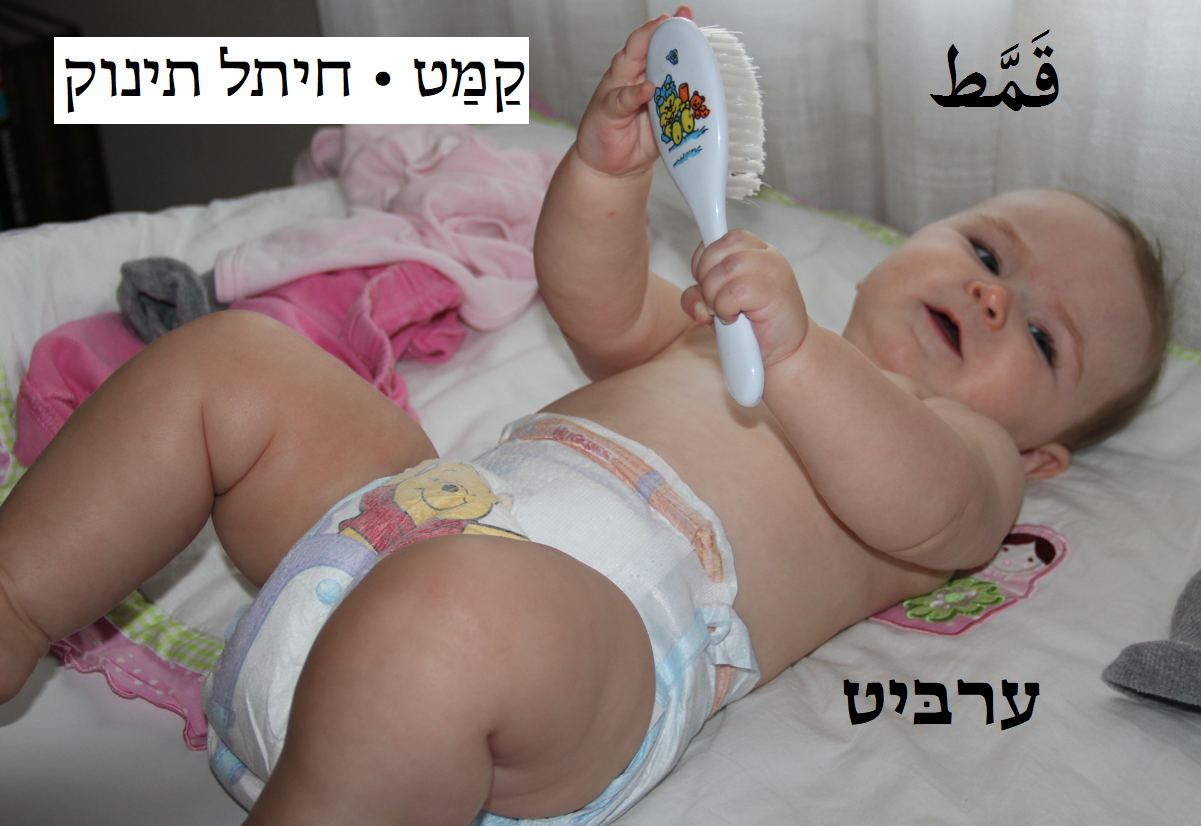 חיתל תינוק