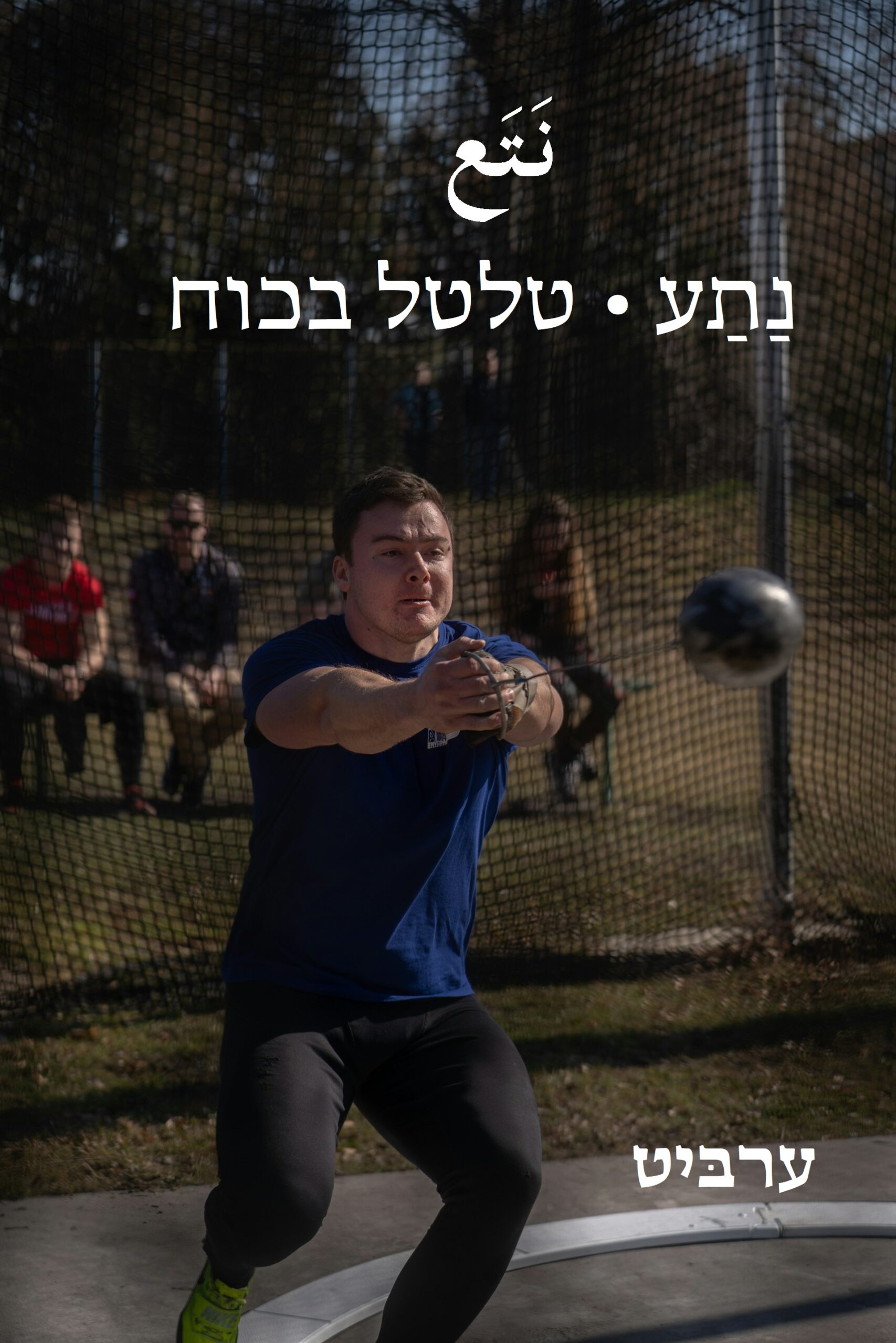 טלטל בכוח