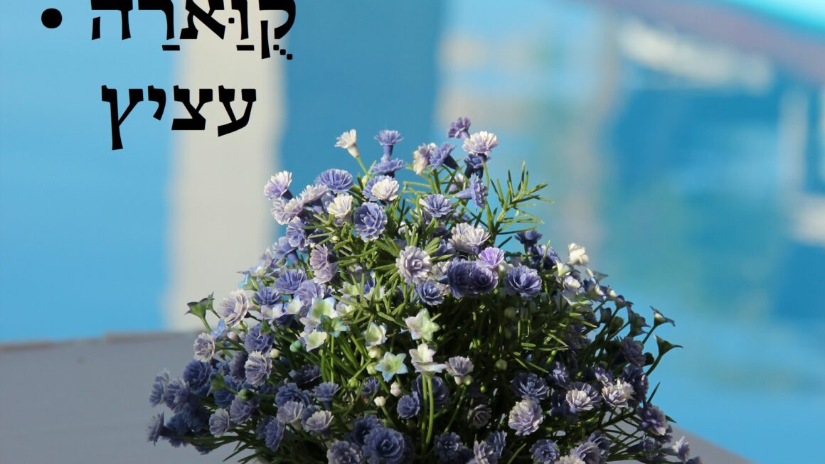 עציץ