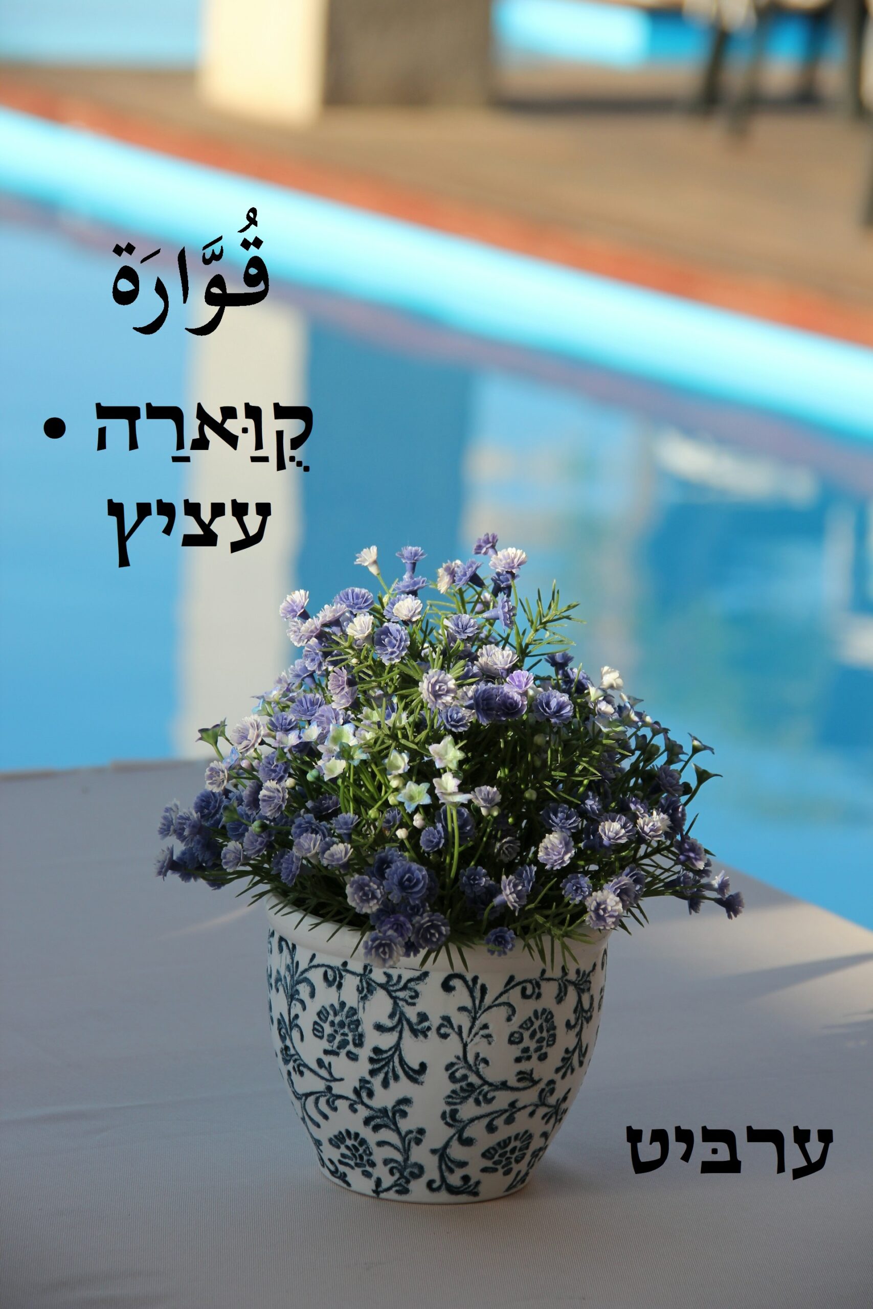 עציץ