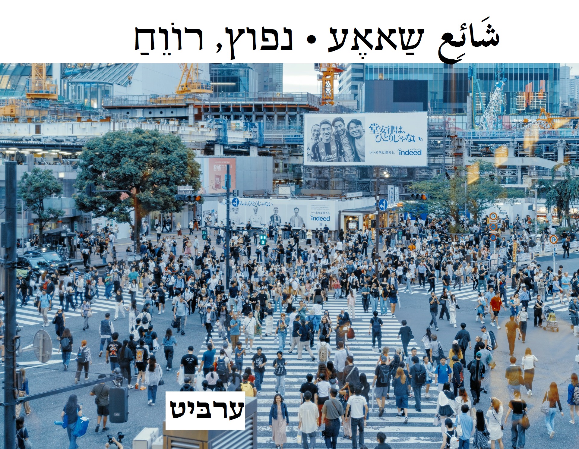 נפוץ, רווח
